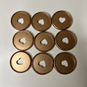 Planner Discs Gold 9 for Classic Happy Planner
